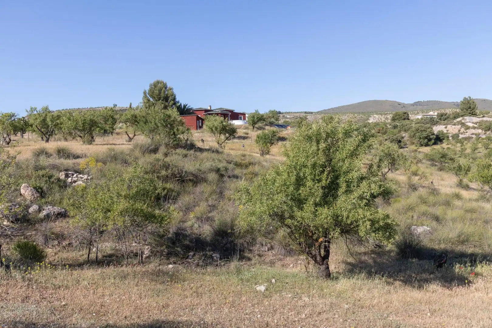 Casa rústica con terraza en venta en Calle GR-3307, Arenas del Rey, Granada GR-3307, imagen 54