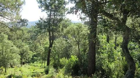 Photo 3 of House or chalet for sale in El Molí - El Rieral, Girona