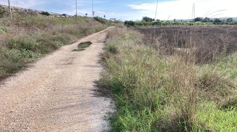 Foto 2 de Terreny en venda a Almoradí, Alicante