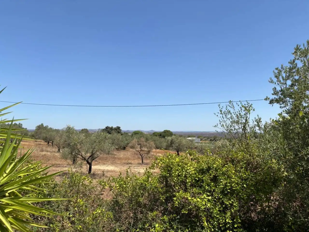 Finca rústica en venda a San Bartolomé de la Torre