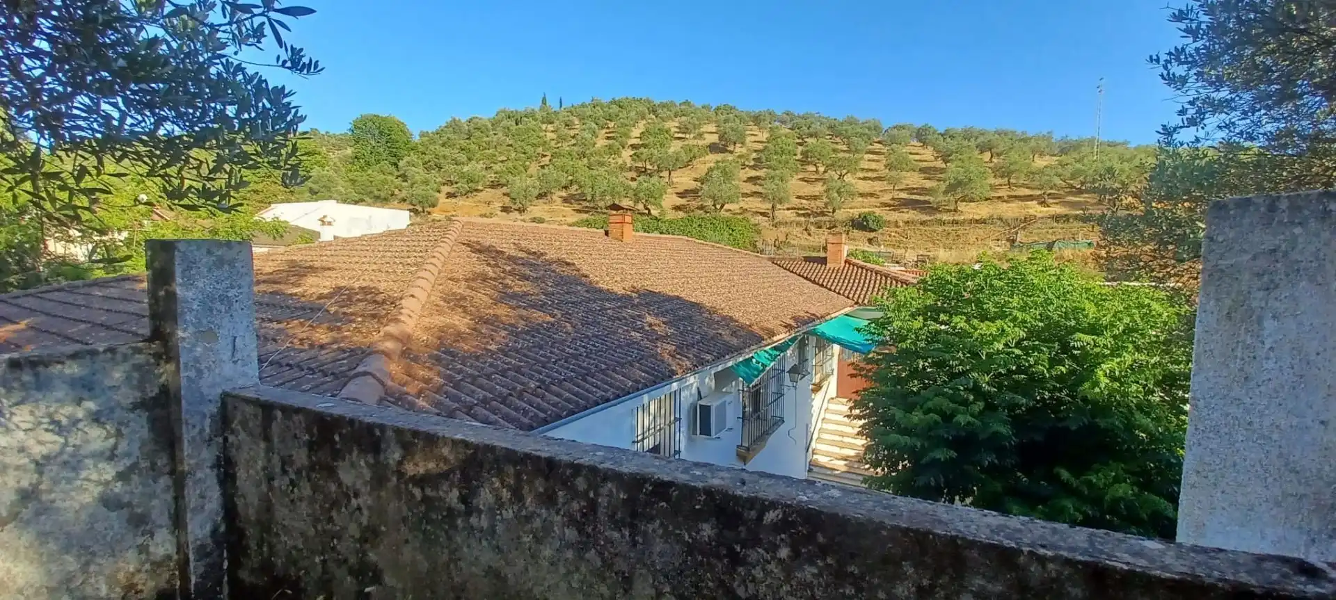 Casa amb jardí en venda a Constantina, imagen 45