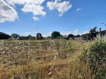 Terreno residencial en venta en Escalona