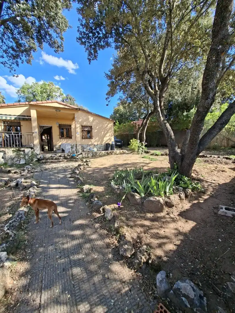 Garten von Haus oder Chalet zum Verkauf in Pareja