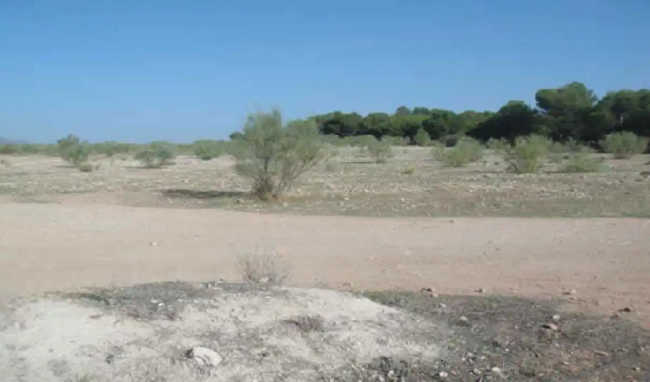 Terreno rustico in vendita a Calicasas, imagen 8