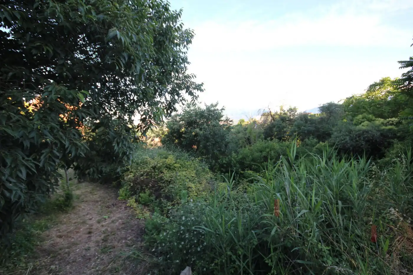 Wohnbaugrundstück zum Verkauf in Camino Fincas 9, imagen 5