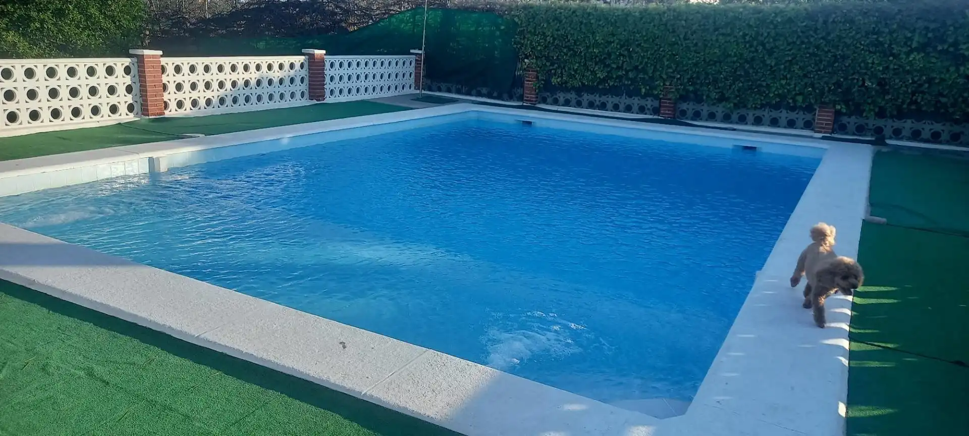 Villa avec piscine à vendre à Peña de las Águilas