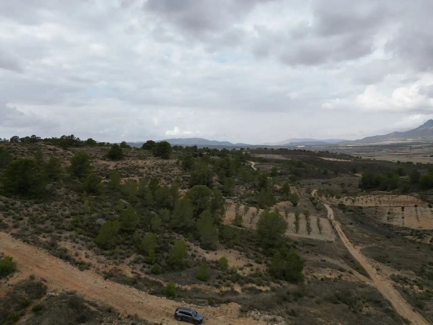 Terreny residencial en venda a Jumilla, imagen 3