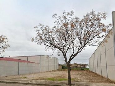 Industrial land for sale in Calle Valdegamas