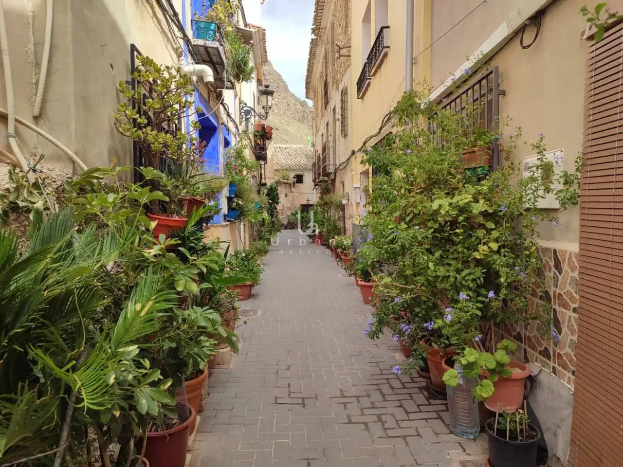 Exterior view of Detached homes for sale in Ojós  with Terrace