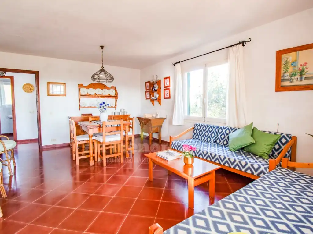 Sala d'estar de Casa o xalet en venda en Es Mercadal amb Jardí privat