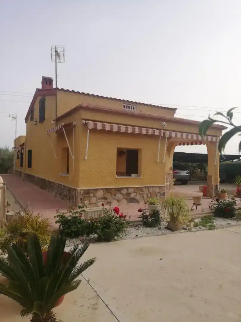 Vista exterior de Casa o xalet en venda en Elche / Elx amb Aire condicionat i Piscina