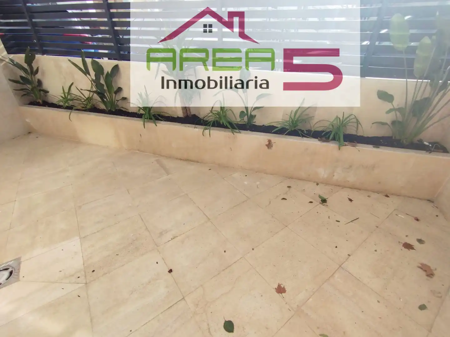 Apartament de lloguer a Sur