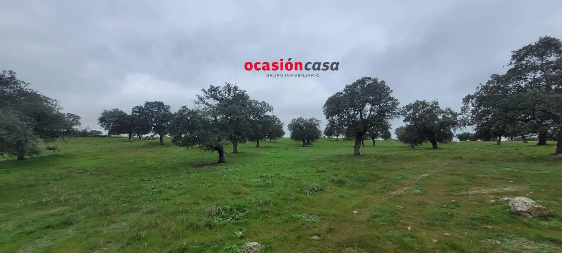 Casa rústica en venta en Pedroche, imagen 7