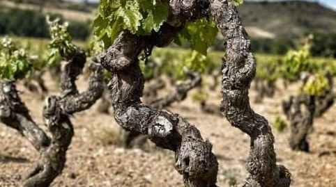 Photo 5 of Building for sale in Baños de Ebro / Mañueta, Araba - Álava