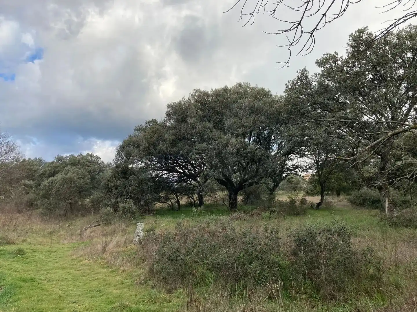 Residential land for sale in Urbanización Sotogrande 3, imagen 3