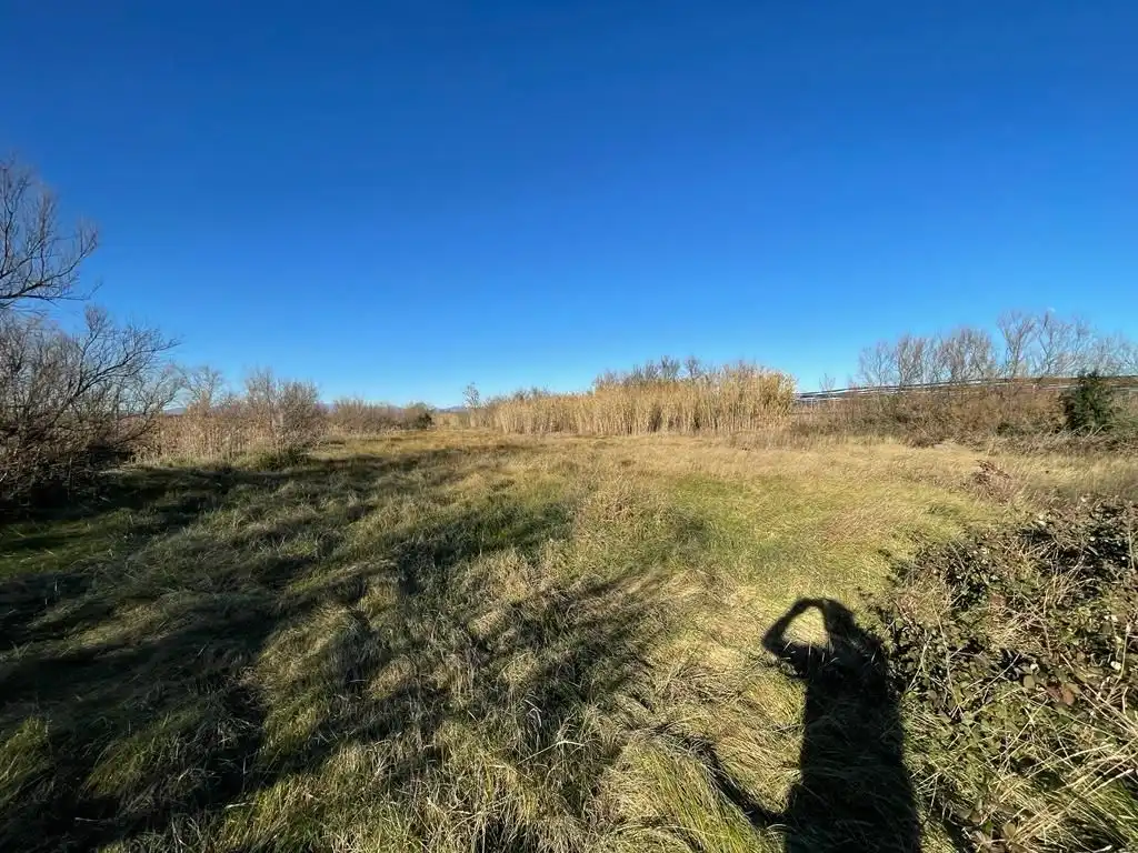 Rural land for sale in Sant Pere Pescador, imagen 47