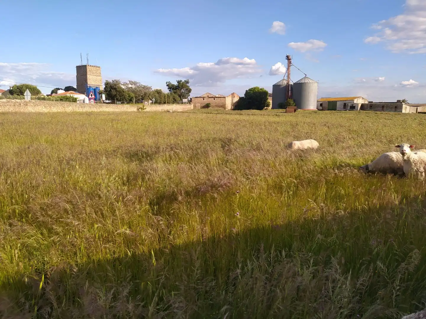 Terreno industrial en venta en Arroyo de la Luz