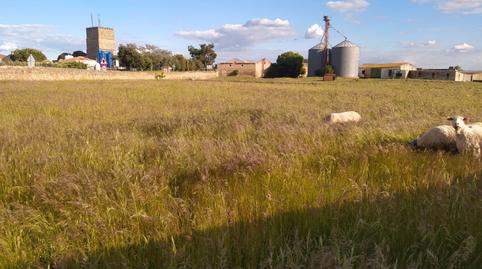 Foto 5 de Terreny industrial en venda a Calleja Reloj, 54c, Arroyo de la Luz, Cáceres