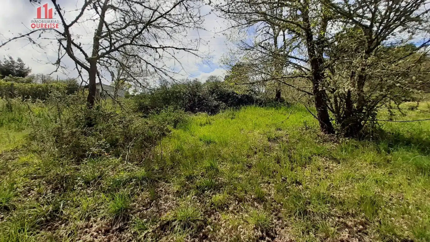 Finca rústica en venta en Ourense Capital 