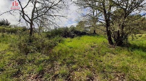 Foto 3 de Finca rústica en venta en Ventiun, Ourense Capital