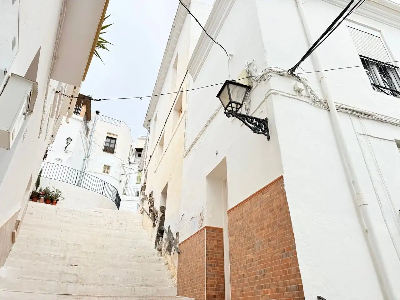 Vista exterior de Finca rústica en venta en Torrox