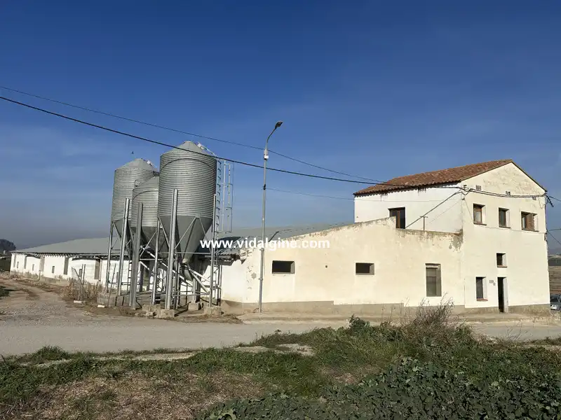 Industrial building for sale in Cami Barceloneta 5B, imagen 2