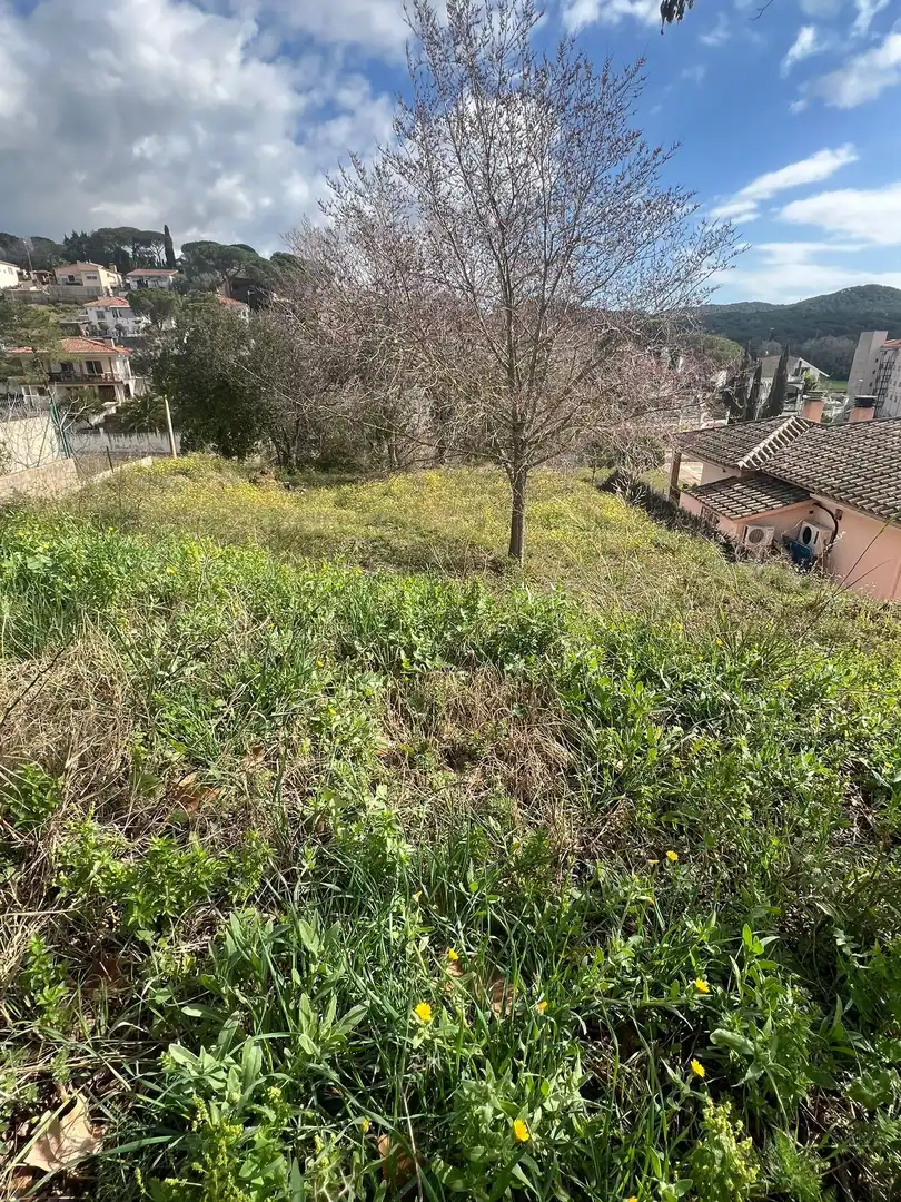 Grundstücke und Bauplätze zum Verkauf in Mas Mora - Sant Daniel, imagen 3