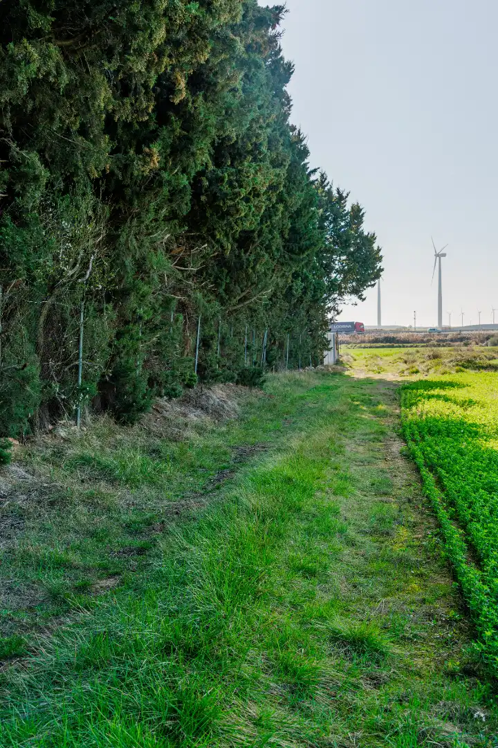 Finca rústica en venda en Pedrola amb Jardí privat, Terrassa i Moblat