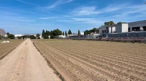 Photo 5 of Land for sale in Carretera de Almoradí, 14, Molins - Campaneta - San Bartolomé, Alicante