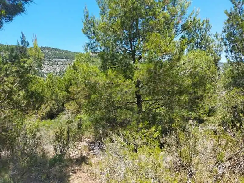 Terreno rustico in vendita a Alcossebre