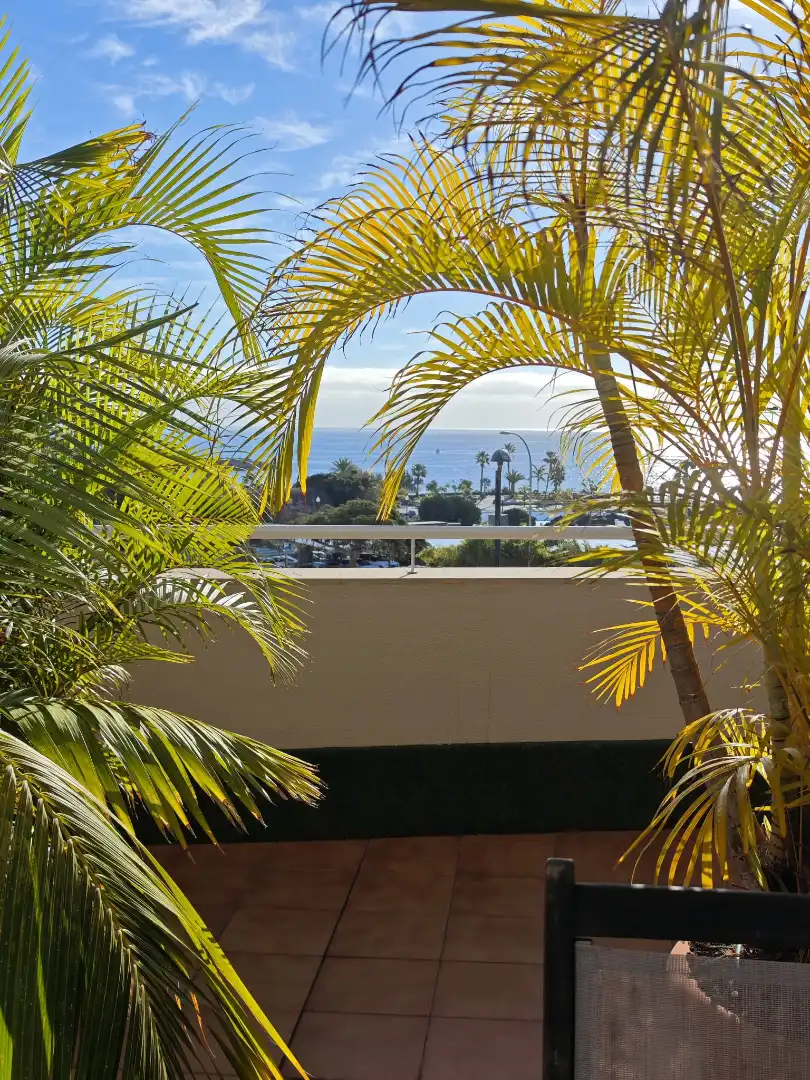Wohnung zum Verkauf in Calle Celia Cruz, Los Llanos - El Cabo