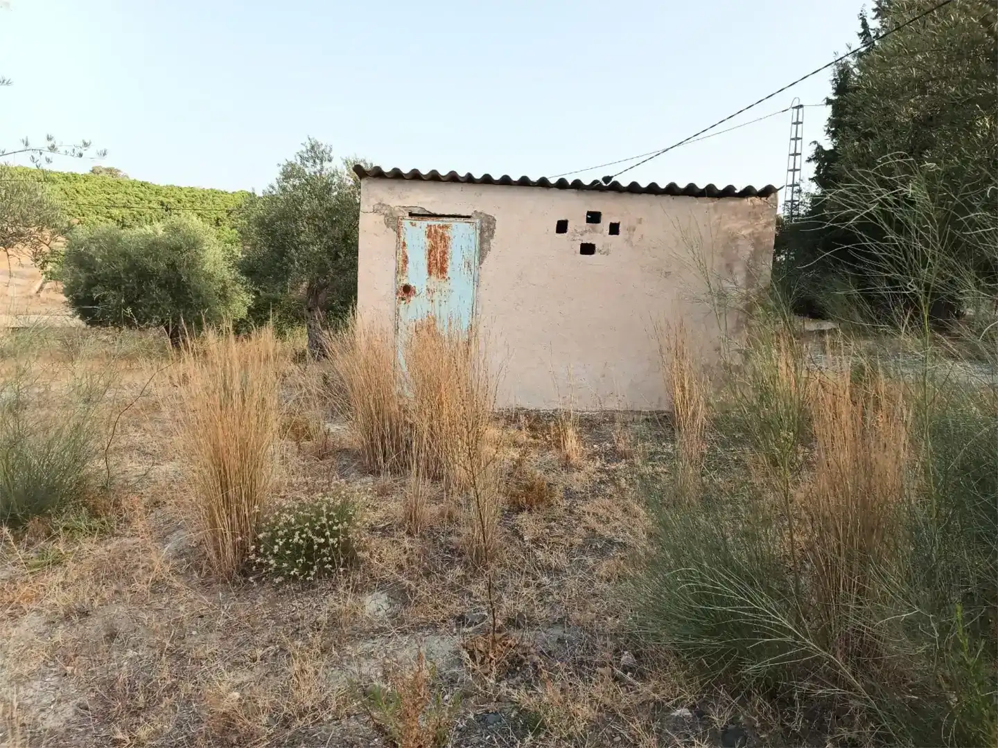 Industrial buildings for rent in Coín
