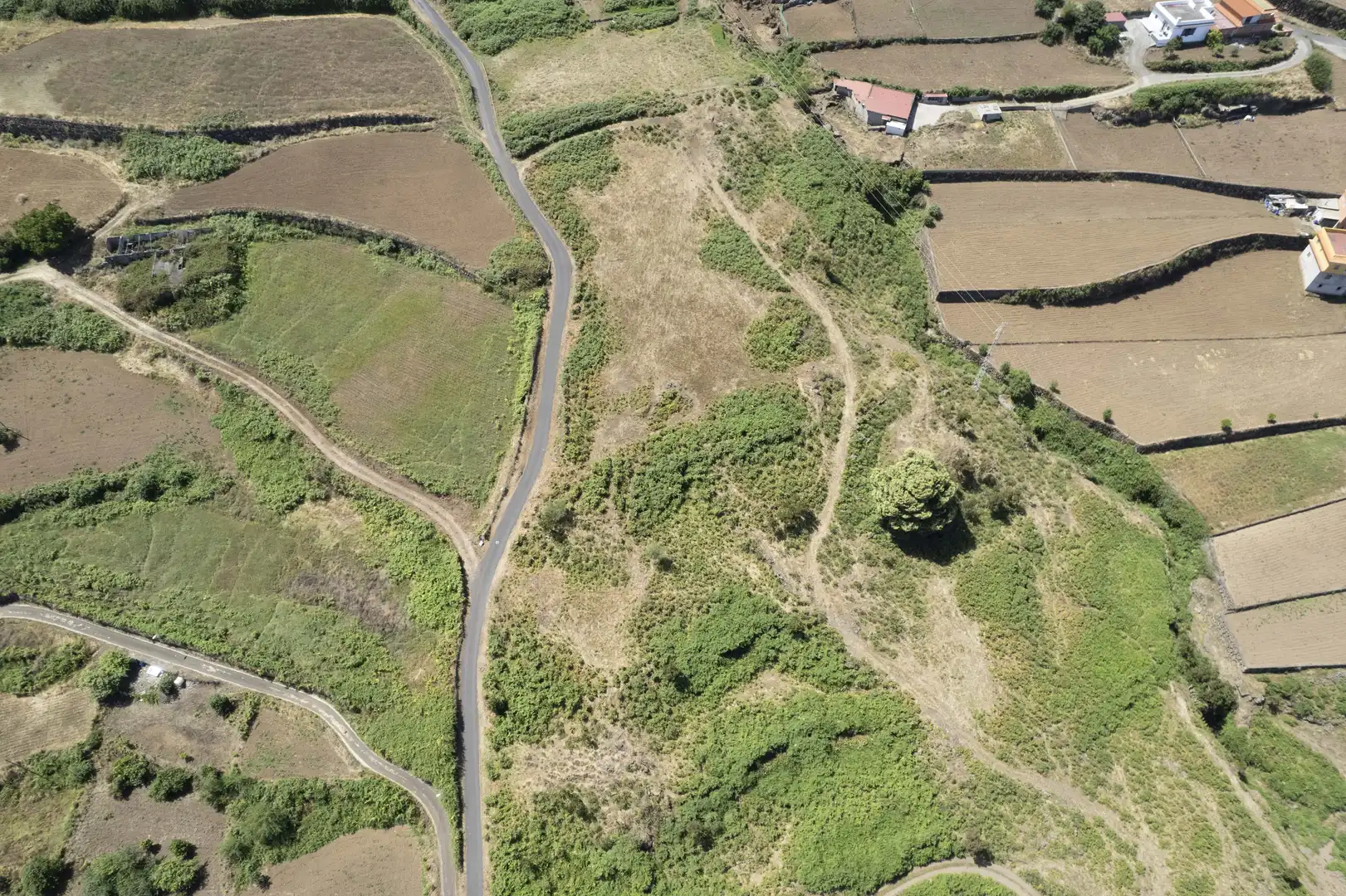 Terreno rustico in vendita a Camino de El Bucio, imagen 11