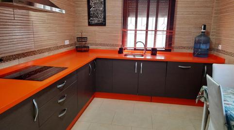 Foto 4 de Finca rústica en venda a Arcos de la Frontera, Cádiz