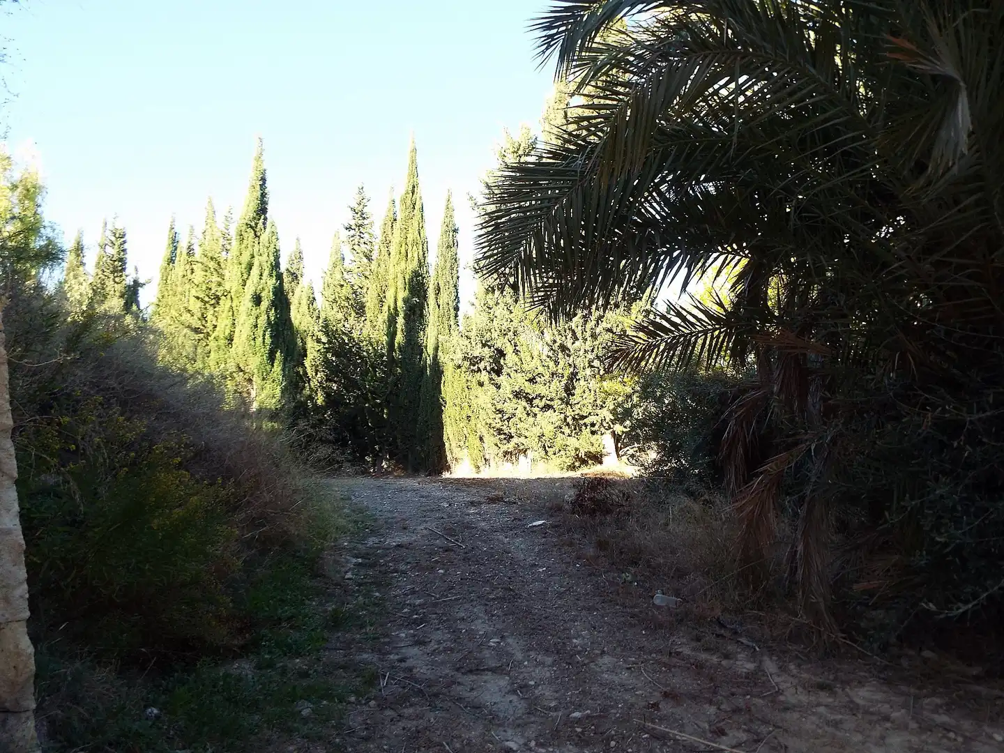 Casa rústica en venda a Abanilla, imagen 16