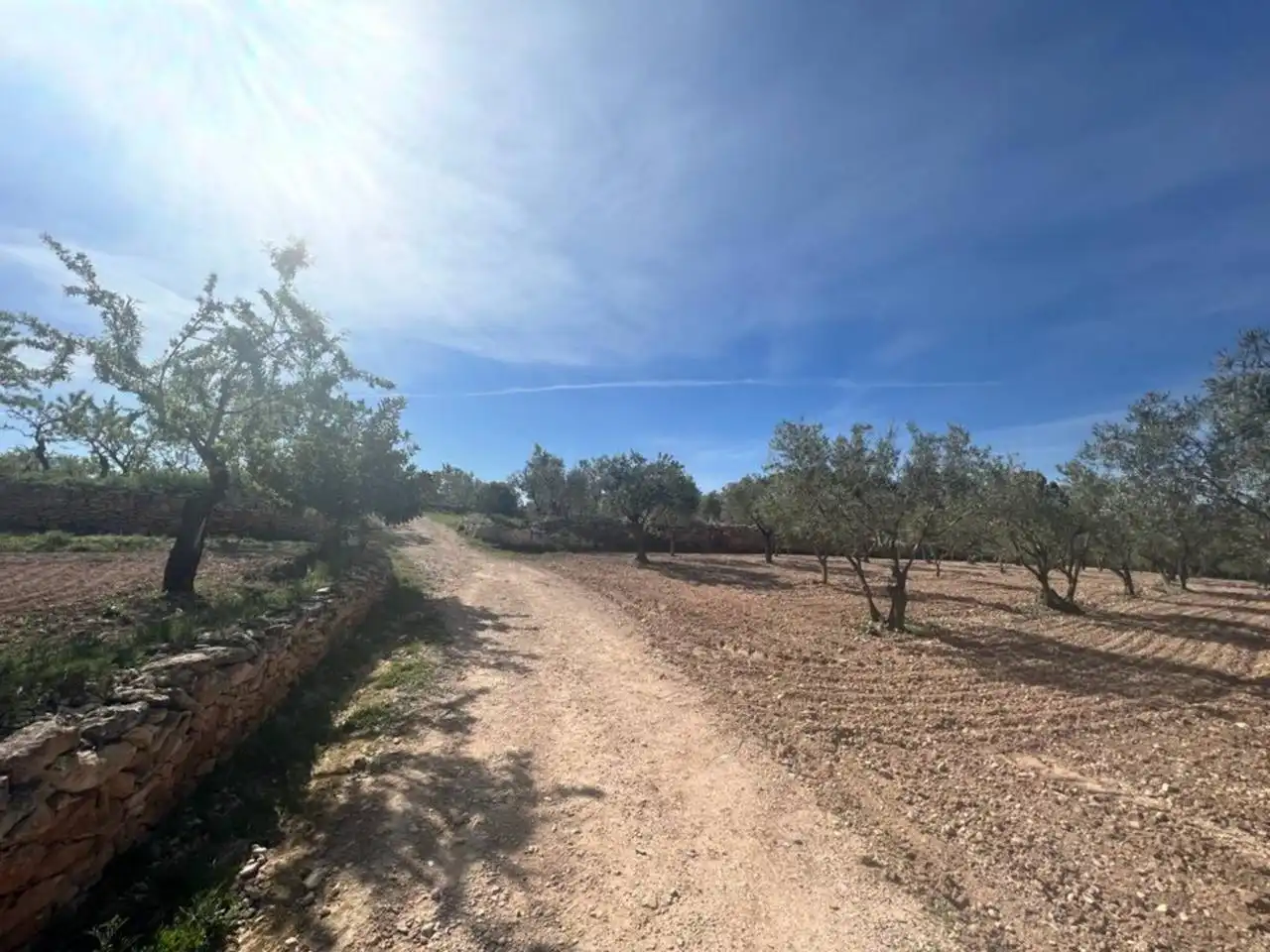 Chalet con jardín en venta en Calle Poligono, imagen 56