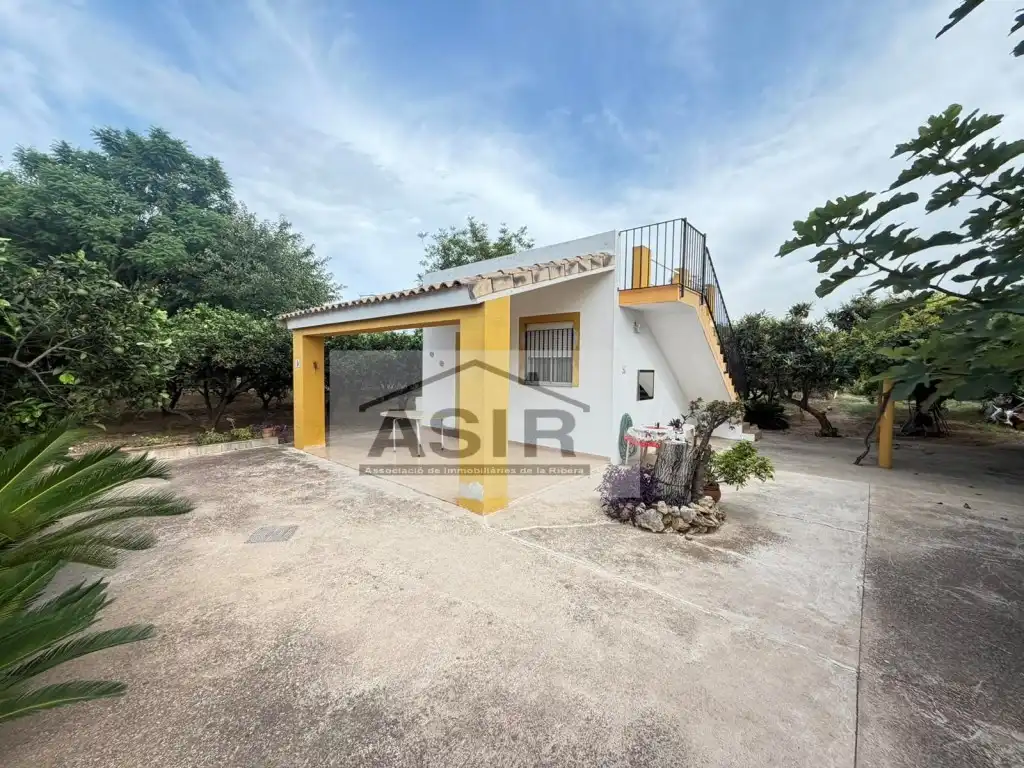 Exterior view of Houses for sale in Benicull de Xúquer