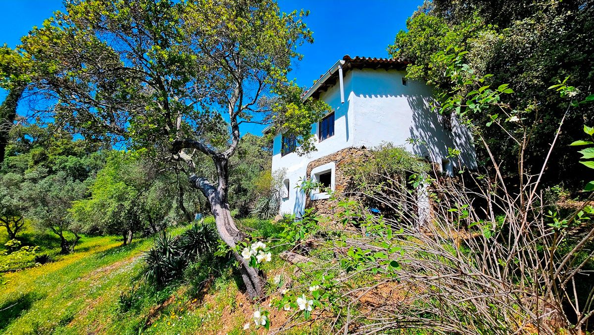 Land for sale in Alájar