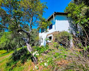 Garden of Land for sale in Alájar