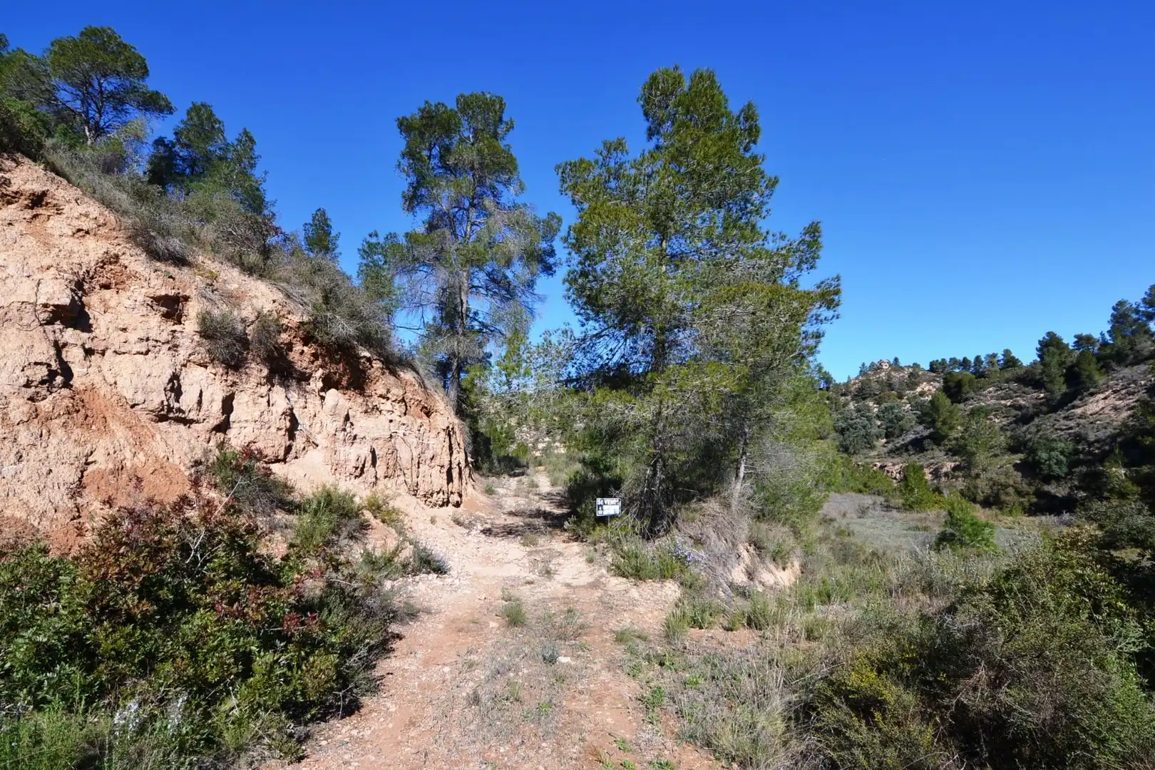 Rural land for sale in Ascó, imagen 9