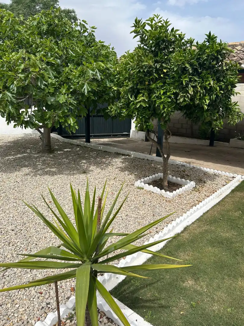 Chalet con piscina en venta en Arcos de la Frontera, imagen 9