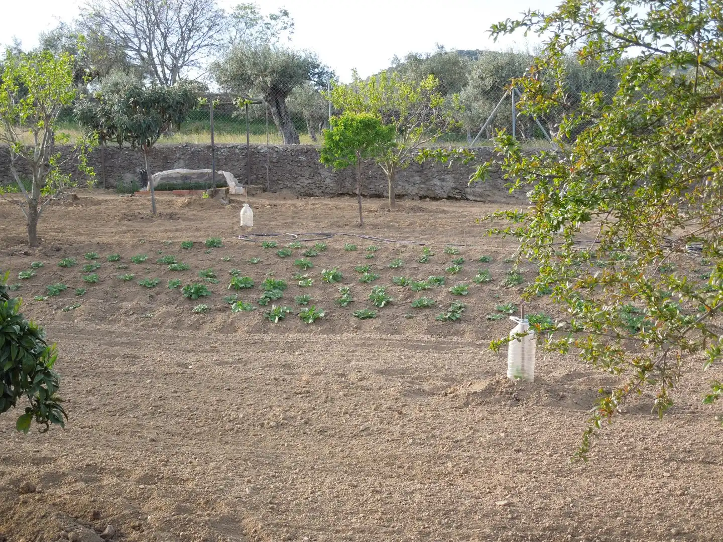 Jardín de Terreno en venta en Malpartida de Plasencia