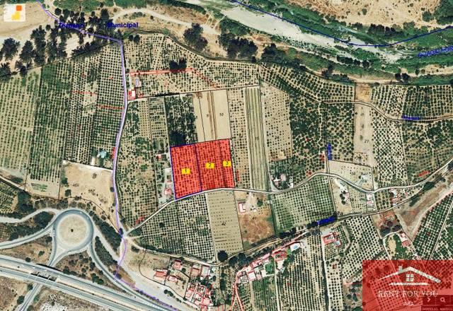 Terreno en Venta en Cártama