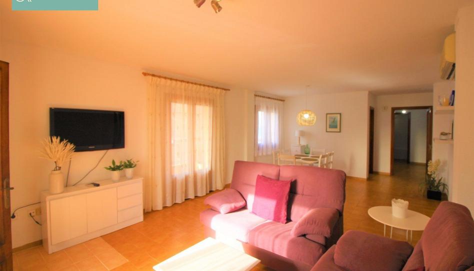 Photo 1 of Flat to rent in Can Picafort, Illes Balears
