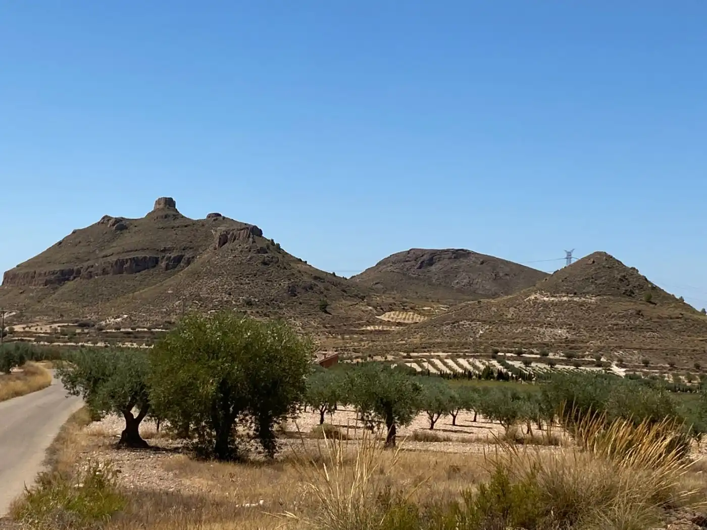 Rustikales Grundstück zum Verkauf in Jumilla, imagen 2