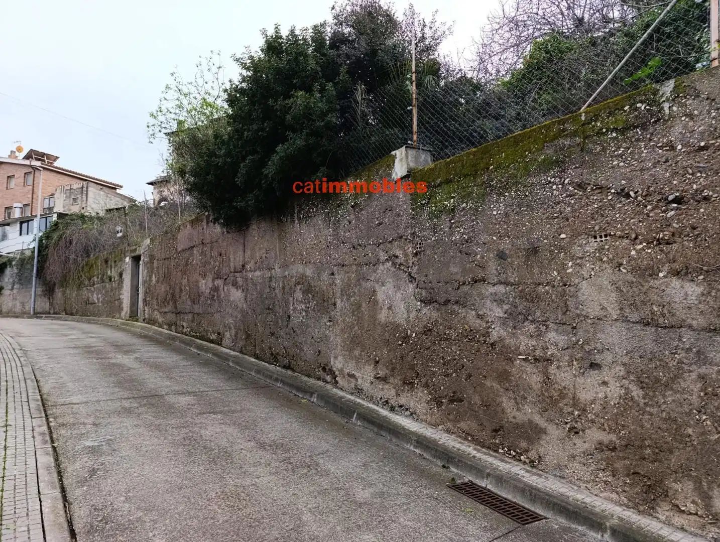 Terreny rústic en venda a Moreneta, imagen 6