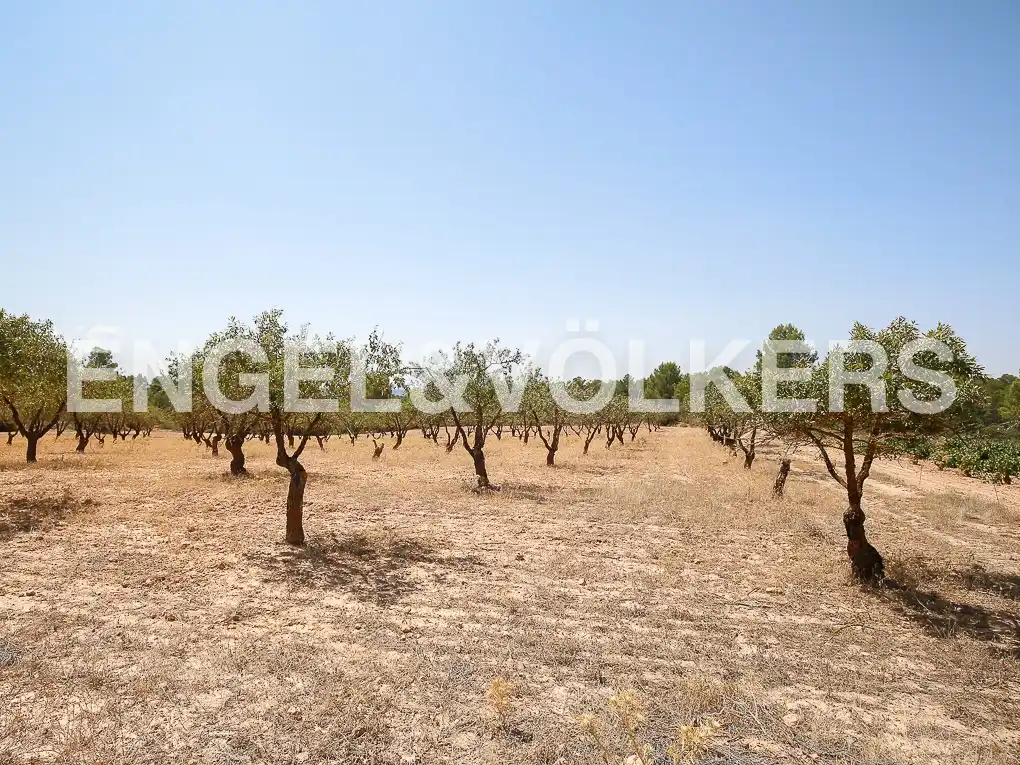 Finca rústica en venda a Requena