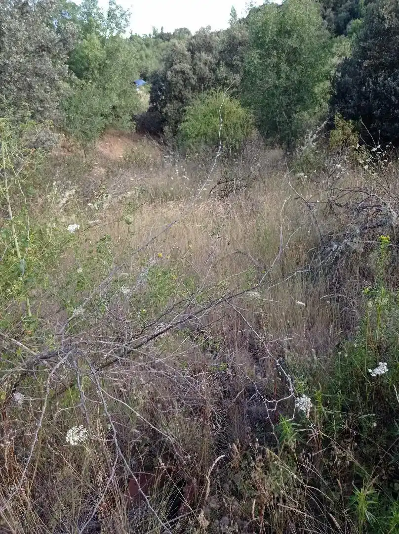 Finca rústica en venda en Puentes Viejas