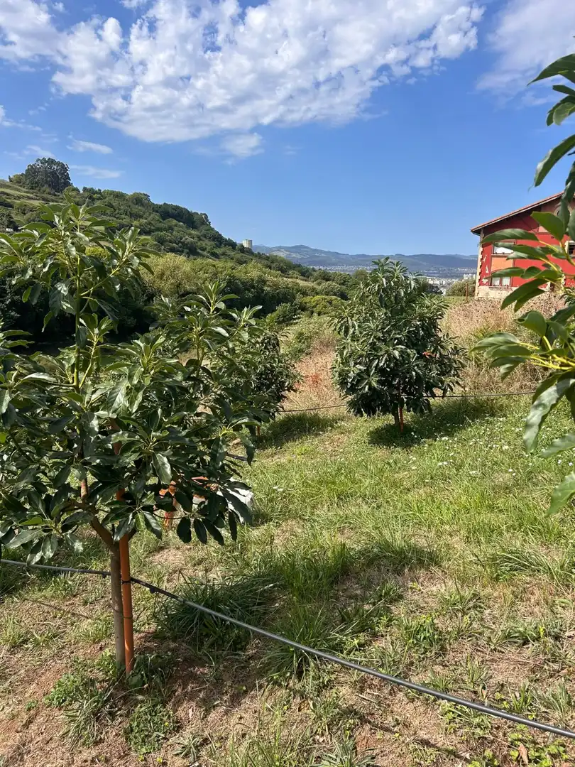 Country house zum Verkauf in El Callejo - La Pesquera - La Arenosa 