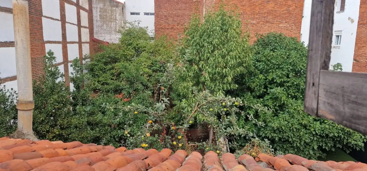 Immobles singulars en venda a Casco Antiguo, imagen 9